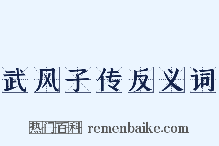 武风子传反义词是什么意思的图片